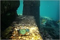 Нажмите на изображение для увеличения
Название: reef-04t.jpg
Просмотров: 192
Размер:	134.0 Кб
ID:	228926