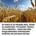 Нажмите на изображение для увеличения
Название: 01549A92-ED44-4237-9076-9C474CBC6690.jpeg
Просмотров: 391
Размер:	207.0 Кб
ID:	2289524