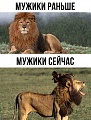 Нажмите на изображение для увеличения
Название: B0BEA126-DB8D-407E-B6FA-F80A670CADC4.jpeg
Просмотров: 447
Размер:	137.2 Кб
ID:	2289826