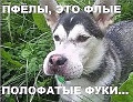 Нажмите на изображение для увеличения
Название: 9.jpg
Просмотров: 391
Размер:	73.1 Кб
ID:	2295402