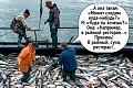 Нажмите на изображение для увеличения
Название: 71040DE0-2F63-4008-B97F-B9FD29F0E438.jpeg
Просмотров: 489
Размер:	139.5 Кб
ID:	2302064
