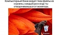 Нажмите на изображение для увеличения
Название: C166B515-85AB-4097-A8C0-3D888848F0CC.jpeg
Просмотров: 426
Размер:	44.1 Кб
ID:	2302066