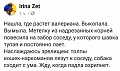 Нажмите на изображение для увеличения
Название: A10D0368-8F76-4A93-8240-2DB321739FAE.jpeg
Просмотров: 356
Размер:	69.1 Кб
ID:	2303599