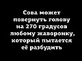 Нажмите на изображение для увеличения
Название: 2154693_original.jpg
Просмотров: 395
Размер:	29.4 Кб
ID:	2305412