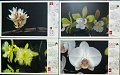 Нажмите на изображение для увеличения
Название: RetroQSL_Flowers.jpg
Просмотров: 45
Размер:	310.6 Кб
ID:	2309952