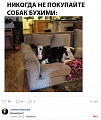 Нажмите на изображение для увеличения
Название: 0A452ED2-3644-4F80-AB1E-4DA469D07A1C.png
Просмотров: 412
Размер:	325.8 Кб
ID:	2313548