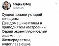 Нажмите на изображение для увеличения
Название: 5.jpg
Просмотров: 425
Размер:	61.5 Кб
ID:	2314278