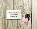 Нажмите на изображение для увеличения
Название: B308E9CD-8617-4EE5-8480-3F1ECDF570B8.jpeg
Просмотров: 421
Размер:	41.3 Кб
ID:	2324909