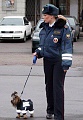 Нажмите на изображение для увеличения
Название: meanwhile-in-russia-004.jpg
Просмотров: 386
Размер:	46.8 Кб
ID:	2342089