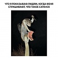 Нажмите на изображение для увеличения
Название: 79DF56EF-E00E-4339-BDF6-1BE7FFC745DB.jpeg
Просмотров: 383
Размер:	65.2 Кб
ID:	2342608