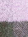 Нажмите на изображение для увеличения
Название: image-uni-178460-2008894260.jpeg
Просмотров: 70
Размер:	491.1 Кб
ID:	2347185