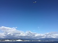 Нажмите на изображение для увеличения
Название: 322816A6-9D0B-4E2D-A897-988751EC9A8A.jpg
Просмотров: 71
Размер:	217.0 Кб
ID:	2348345