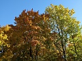 Нажмите на изображение для увеличения
Название: IMG_0148 (1)0006.JPG
Просмотров: 31
Размер:	1.85 Мб
ID:	2349652