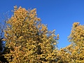 Нажмите на изображение для увеличения
Название: IMG_0160 (1)0007.JPG
Просмотров: 25
Размер:	1.65 Мб
ID:	2349653