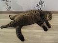 Нажмите на изображение для увеличения
Название: IMG_1387.jpg
Просмотров: 116
Размер:	380.1 Кб
ID:	2349746