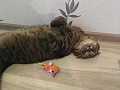 Нажмите на изображение для увеличения
Название: IMG_1388.jpg
Просмотров: 162
Размер:	345.5 Кб
ID:	2349747