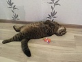 Нажмите на изображение для увеличения
Название: IMG_1389.jpg
Просмотров: 109
Размер:	341.7 Кб
ID:	2349748