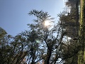 Нажмите на изображение для увеличения
Название: 76AA95F5-674E-4D33-B773-6742277714B7.jpg
Просмотров: 42
Размер:	656.6 Кб
ID:	2352350