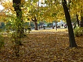 Нажмите на изображение для увеличения
Название: P1160744.jpg
Просмотров: 436
Размер:	725.8 Кб
ID:	2354467