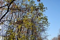 Нажмите на изображение для увеличения
Название: IMG_02600010.JPG
Просмотров: 72
Размер:	1.75 Мб
ID:	2355660