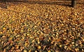 Нажмите на изображение для увеличения
Название: IMG_02840001.JPG
Просмотров: 44
Размер:	1.91 Мб
ID:	2357080