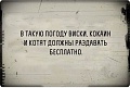 Нажмите на изображение для увеличения
Название: 29130FC6-D3DA-499B-98B3-552E557DBE66.jpeg
Просмотров: 389
Размер:	56.7 Кб
ID:	2370887