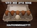 Нажмите на изображение для увеличения
Название: 12291420.jpg
Просмотров: 424
Размер:	64.2 Кб
ID:	2389142