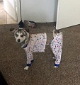 Нажмите на изображение для увеличения
Название: 12mysterious_situations.jpg
Просмотров: 393
Размер:	175.0 Кб
ID:	2396276