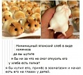 Нажмите на изображение для увеличения
Название: CCE02477-8CF2-4879-B116-C6F38DF3D248.jpeg
Просмотров: 410
Размер:	94.1 Кб
ID:	2398167