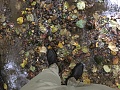 Нажмите на изображение для увеличения
Название: IMG_1710.jpg
Просмотров: 185
Размер:	605.6 Кб
ID:	2399136