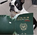 Нажмите на изображение для увеличения
Название: 0DC443C0-DFEF-467F-8934-15358E6A8D7E.jpeg
Просмотров: 495
Размер:	78.3 Кб
ID:	2405919