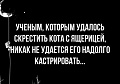 Нажмите на изображение для увеличения
Название: BE01D33F-1D3B-46C0-A0A4-BE963017B508.jpeg
Просмотров: 438
Размер:	43.3 Кб
ID:	2406475