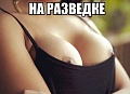 Нажмите на изображение для увеличения
Название: 12374234.jpg
Просмотров: 444
Размер:	71.4 Кб
ID:	2411620