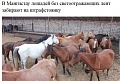 Нажмите на изображение для увеличения
Название: A1FBE099-9FC2-4922-8460-49AAC04C3348.jpeg
Просмотров: 393
Размер:	116.4 Кб
ID:	2414538