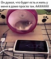Нажмите на изображение для увеличения
Название: 6C113A4D-426D-4505-A7F1-02E3709B8691.jpeg
Просмотров: 431
Размер:	120.1 Кб
ID:	2422380