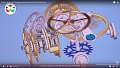 Нажмите на изображение для увеличения
Название: zenith.jpg
Просмотров: 238
Размер:	274.6 Кб
ID:	2423708
