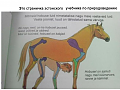 Нажмите на изображение для увеличения
Название: 2018-12-24.png
Просмотров: 465
Размер:	295.8 Кб
ID:	2428149