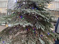 Нажмите на изображение для увеличения
Название: 20181228_131056923_iOS.jpg
Просмотров: 115
Размер:	768.5 Кб
ID:	2431863