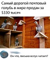 Нажмите на изображение для увеличения
Название: 197FDE1E-E3A3-4F9B-8E3D-5EC1672FBA29.jpeg
Просмотров: 454
Размер:	137.3 Кб
ID:	2432137
