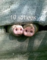 Нажмите на изображение для увеличения
Название: D074E82C-F0F5-45B4-9180-2D9A34595E7A.jpeg
Просмотров: 389
Размер:	111.6 Кб
ID:	2434621