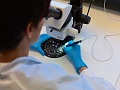 Нажмите на изображение для увеличения
Название: csm_Titelbild_Belegungsservice_8b31c22818.jpg
Просмотров: 1943
Размер:	130.0 Кб
ID:	2443492