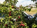 Нажмите на изображение для увеличения
Название: IMG_20180720_164518.jpg
Просмотров: 76
Размер:	735.9 Кб
ID:	2444205