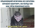 Нажмите на изображение для увеличения
Название: D0C7A64B-7A0F-4C4E-9F3D-3F582D7CCBED.jpeg
Просмотров: 432
Размер:	100.9 Кб
ID:	2445987