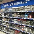 Нажмите на изображение для увеличения
Название: IMG-20190115-WA0017.jpg
Просмотров: 533
Размер:	107.2 Кб
ID:	2447935
