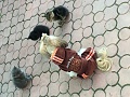 Нажмите на изображение для увеличения
Название: 7B0DF8D3-E18F-4F40-A97F-B4E2127EDE5D.jpg
Просмотров: 117
Размер:	380.3 Кб
ID:	2459639