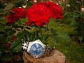 Нажмите на изображение для увеличения
Название: DSC00344.jpg
Просмотров: 138
Размер:	358.0 Кб
ID:	246443