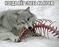 Нажмите на изображение для увеличения
Название: 5D3EA42A-3A0C-45A4-84E5-04DD79F3BA9B.jpeg
Просмотров: 401
Размер:	63.4 Кб
ID:	2465739