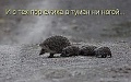 Нажмите на изображение для увеличения
Название: 5C8FD9F9-2659-4BCA-AD61-F5DF99748254.jpeg
Просмотров: 399
Размер:	43.5 Кб
ID:	2465744