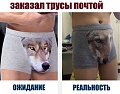 Нажмите на изображение для увеличения
Название: 208623C0-9122-4CB0-9535-CCE8A2856B31.jpeg
Просмотров: 401
Размер:	88.8 Кб
ID:	2465747