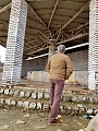 Нажмите на изображение для увеличения
Название: 2FE40E4A-FA25-4E93-99F1-6037B27AA030.jpg
Просмотров: 166
Размер:	639.6 Кб
ID:	2468332